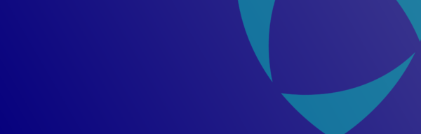 Risk Solutions Header