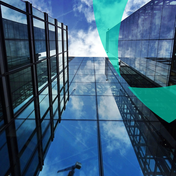 Van Ameyde Risk Solutions Insurance Management. Insurance Management